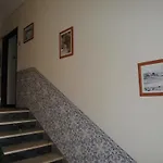 Cabeca Da Velha